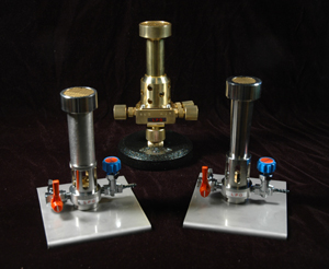Picture of the Japanese Torches